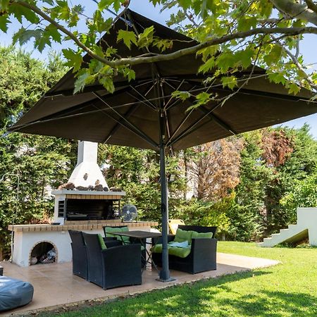 Beautiful Summer Villa In Chalkoutsi Khalkoutsion Bagian luar foto