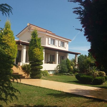 Beautiful Summer Villa In Chalkoutsi Khalkoutsion Bagian luar foto