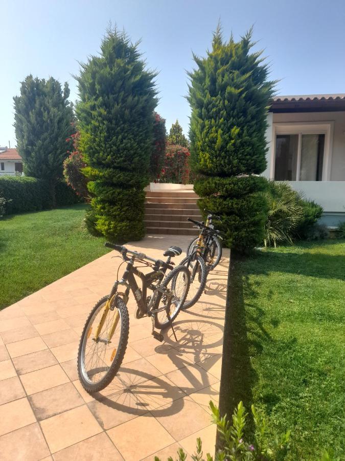 Beautiful Summer Villa In Chalkoutsi Khalkoutsion Bagian luar foto