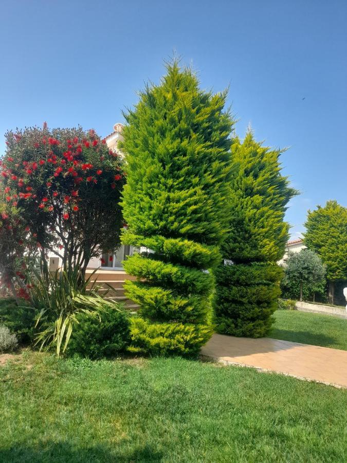 Beautiful Summer Villa In Chalkoutsi Khalkoutsion Bagian luar foto
