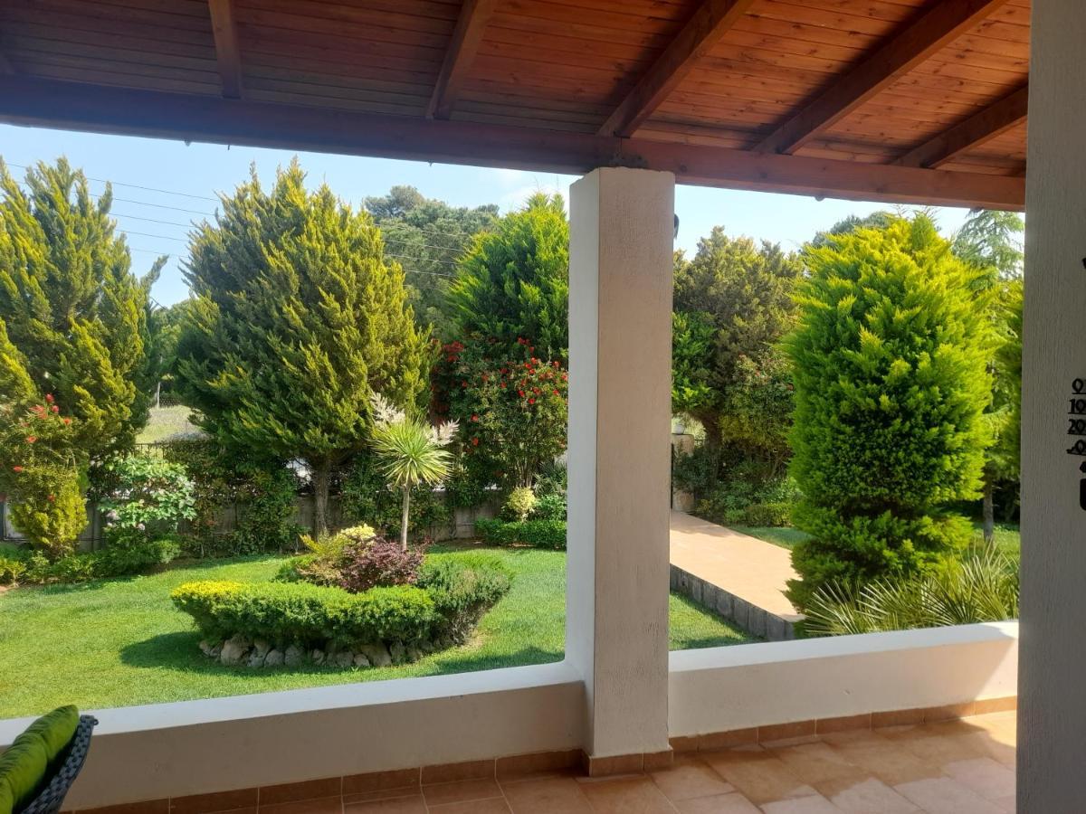 Beautiful Summer Villa In Chalkoutsi Khalkoutsion Bagian luar foto
