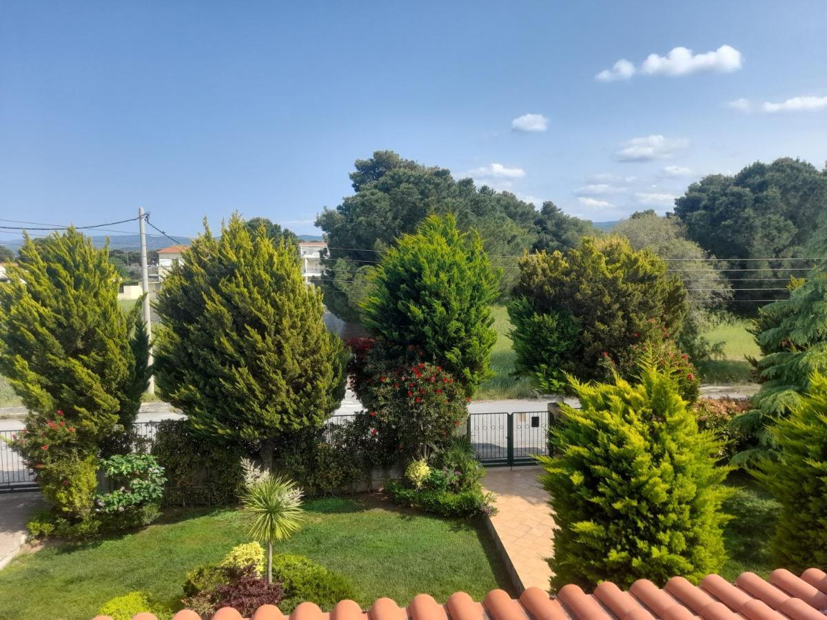 Beautiful Summer Villa In Chalkoutsi Khalkoutsion Bagian luar foto