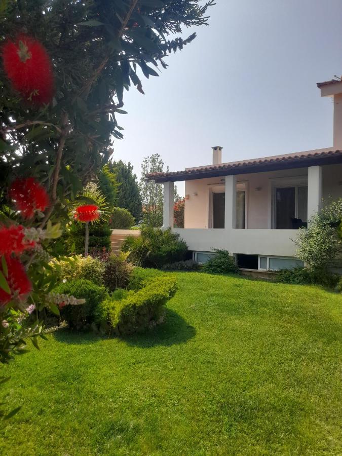 Beautiful Summer Villa In Chalkoutsi Khalkoutsion Bagian luar foto