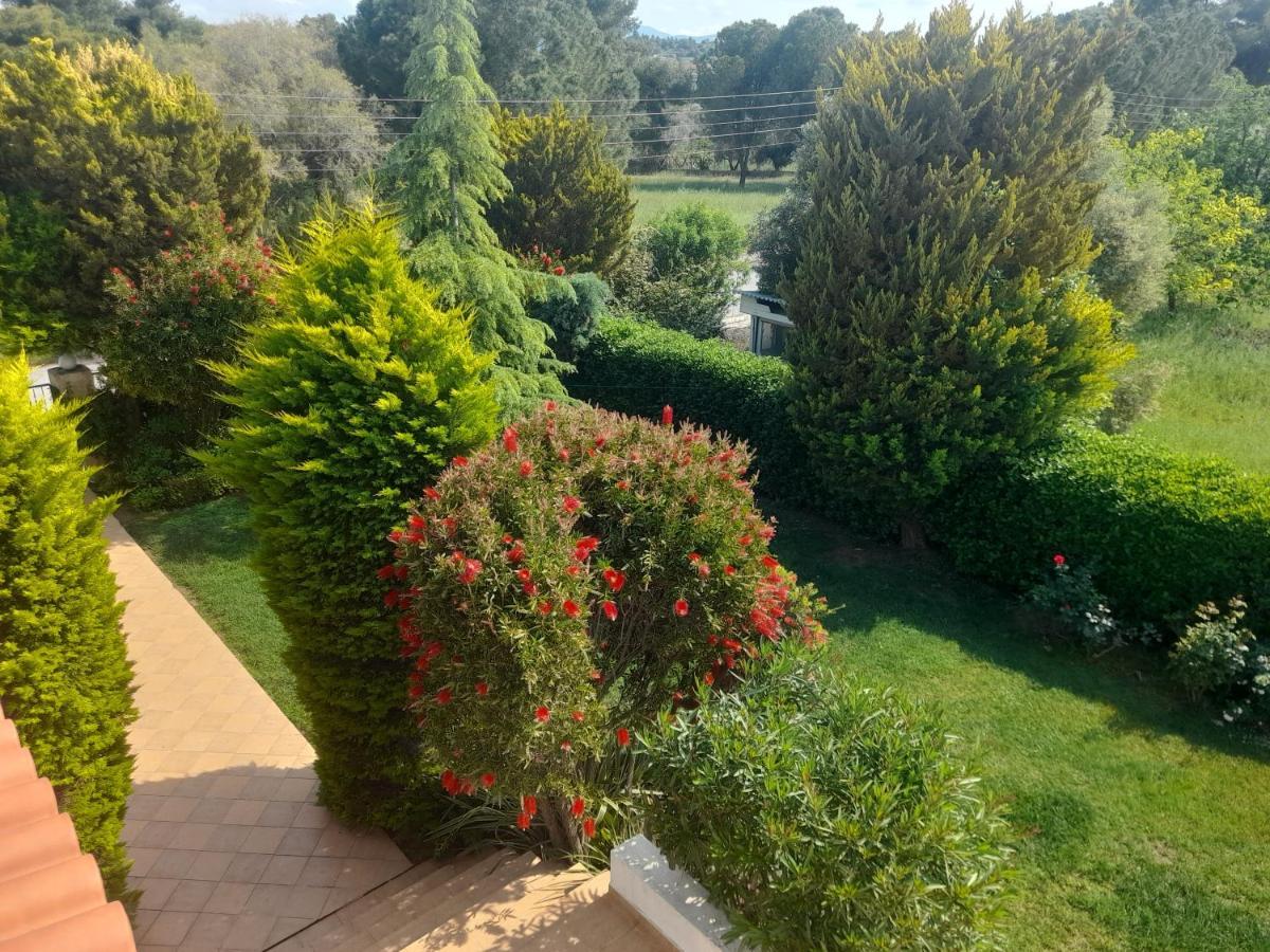 Beautiful Summer Villa In Chalkoutsi Khalkoutsion Bagian luar foto