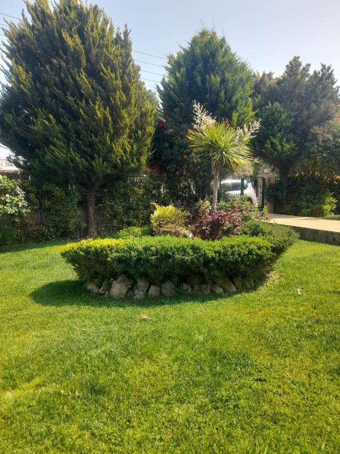 Beautiful Summer Villa In Chalkoutsi Khalkoutsion Bagian luar foto