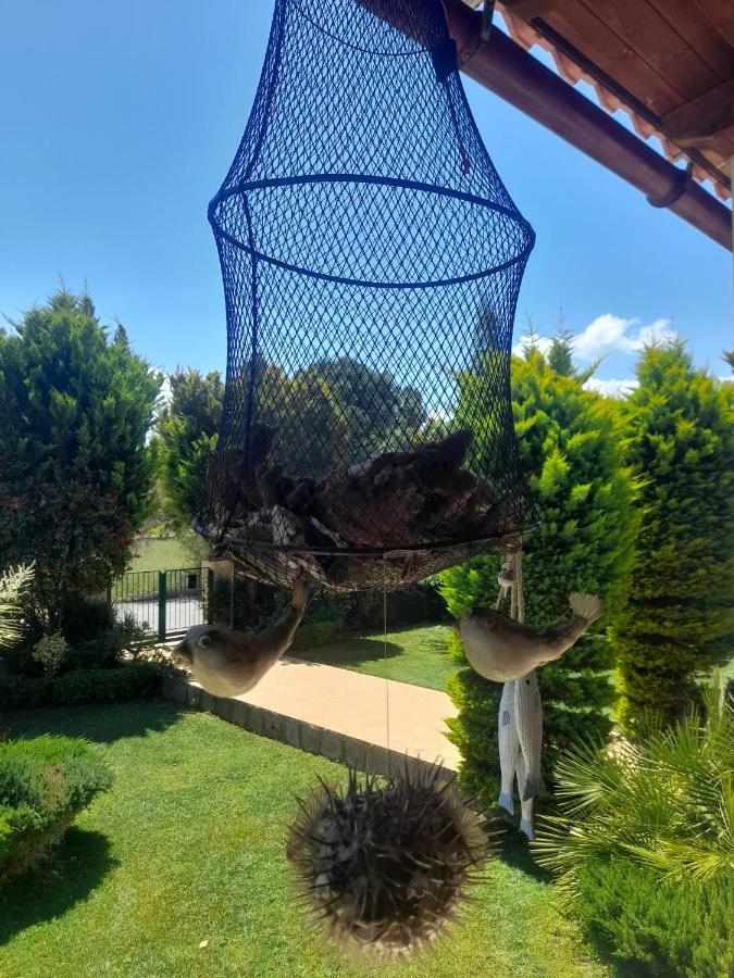 Beautiful Summer Villa In Chalkoutsi Khalkoutsion Bagian luar foto