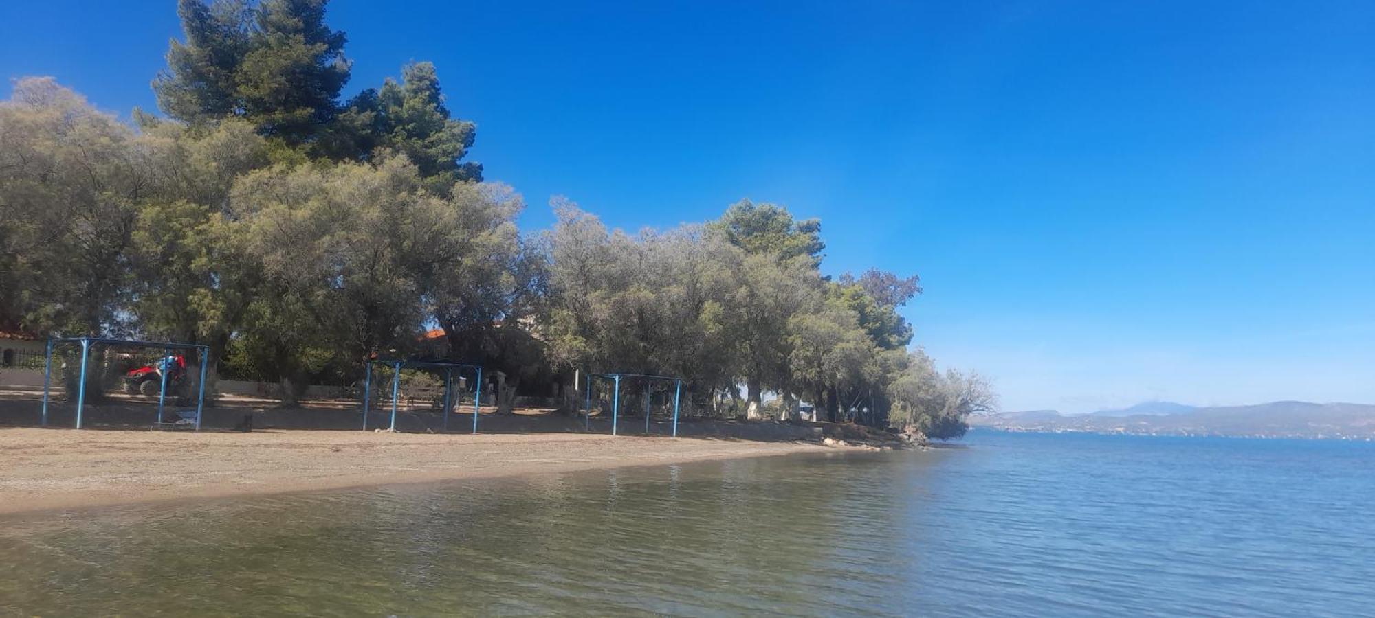 Beautiful Summer Villa In Chalkoutsi Khalkoutsion Bagian luar foto