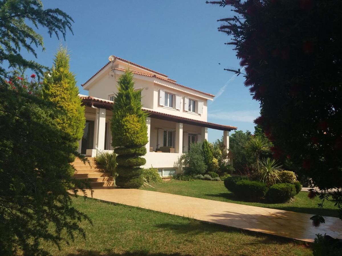 Beautiful Summer Villa In Chalkoutsi Khalkoutsion Bagian luar foto