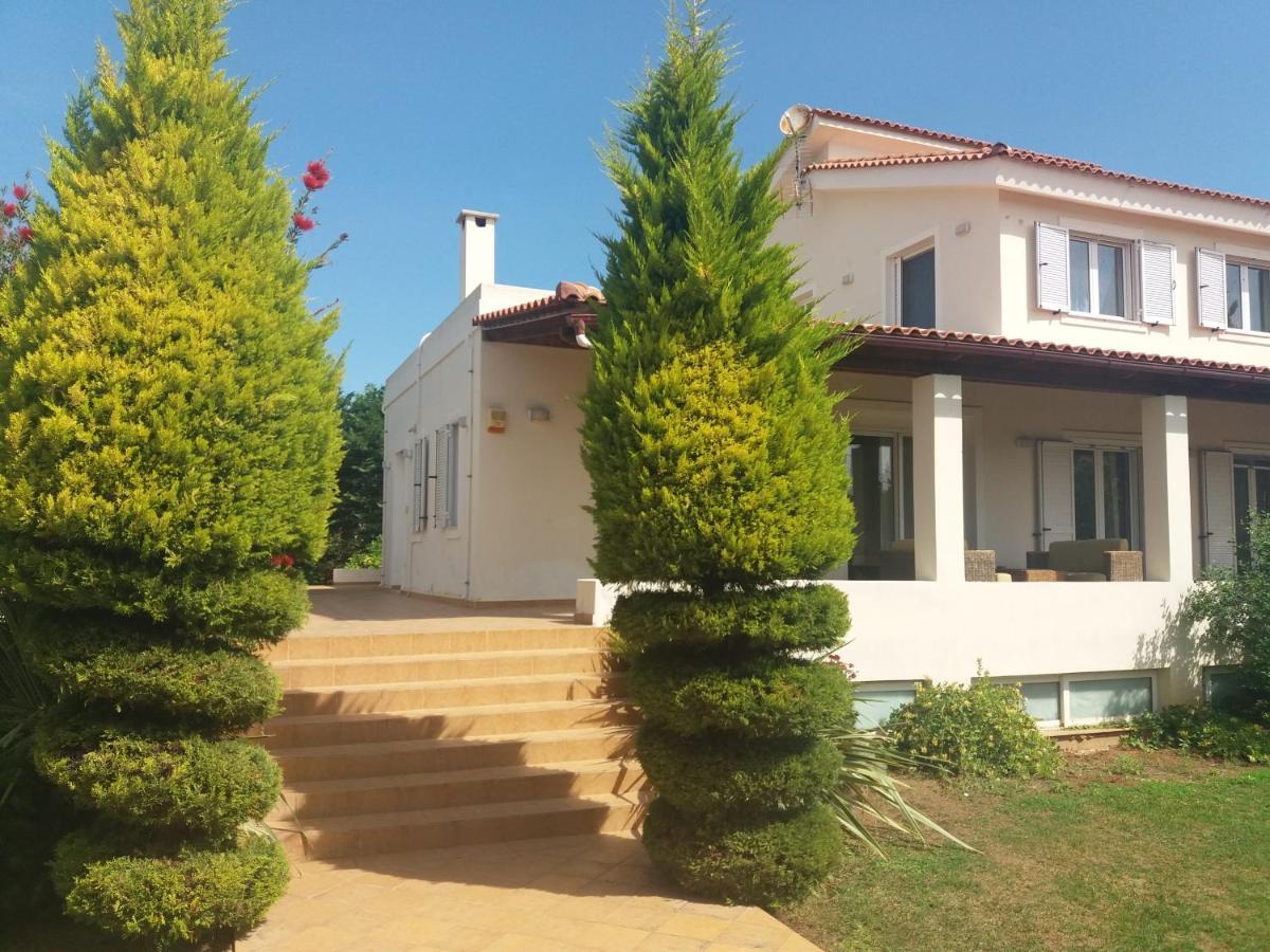 Beautiful Summer Villa In Chalkoutsi Khalkoutsion Bagian luar foto