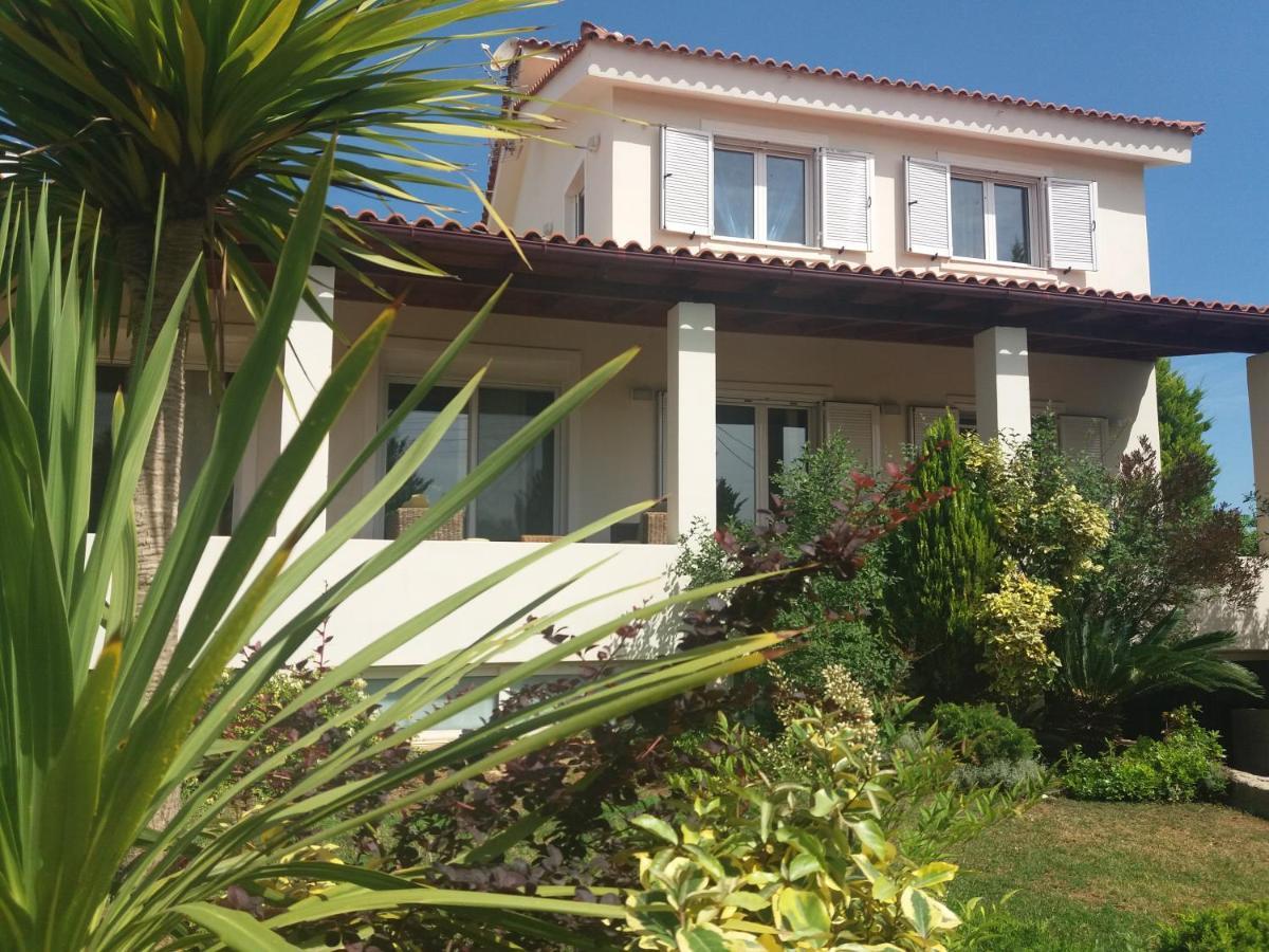 Beautiful Summer Villa In Chalkoutsi Khalkoutsion Bagian luar foto