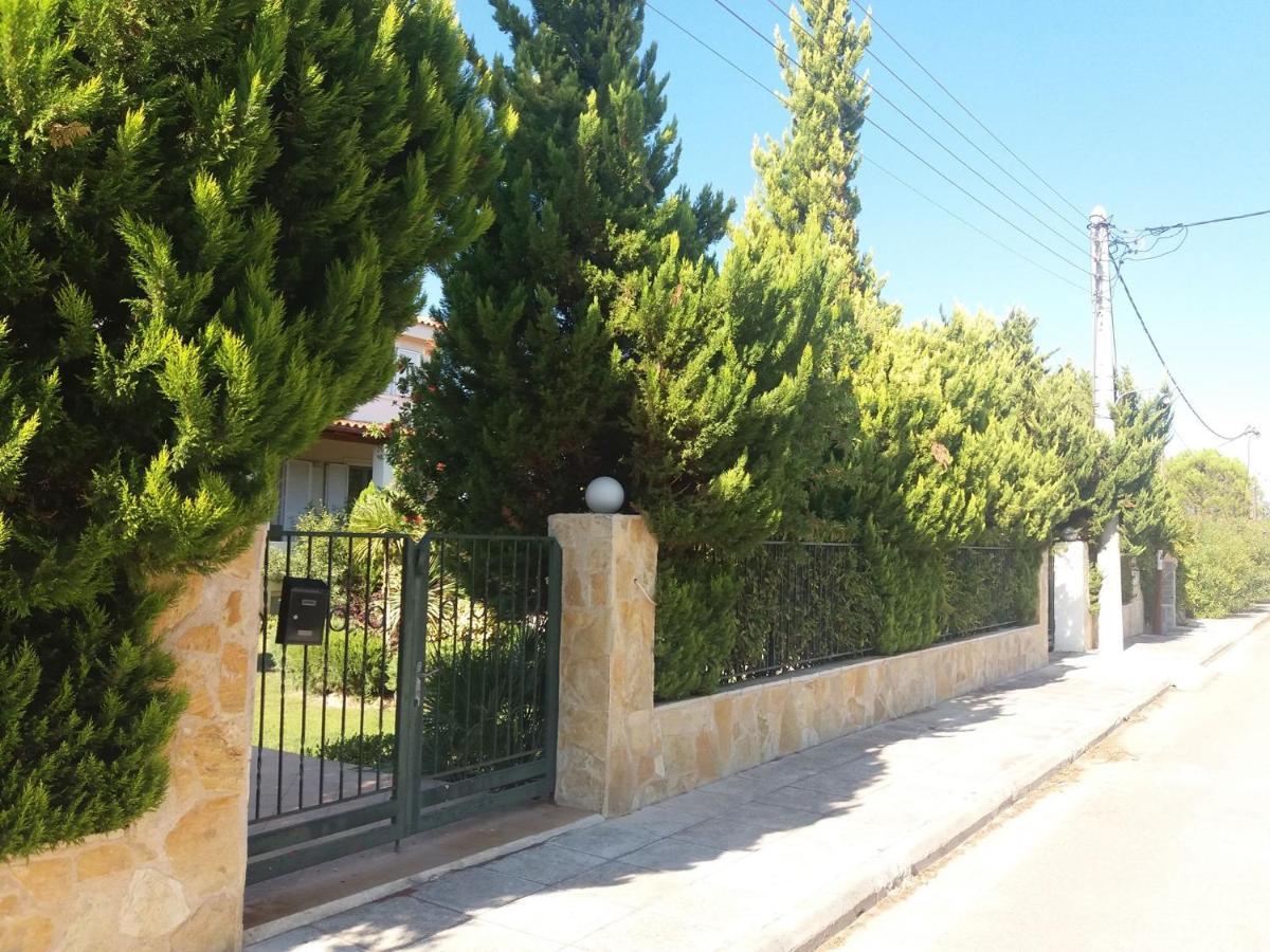 Beautiful Summer Villa In Chalkoutsi Khalkoutsion Bagian luar foto