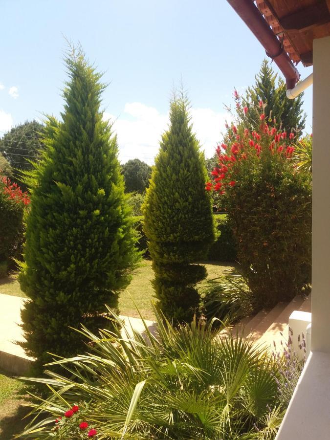 Beautiful Summer Villa In Chalkoutsi Khalkoutsion Bagian luar foto