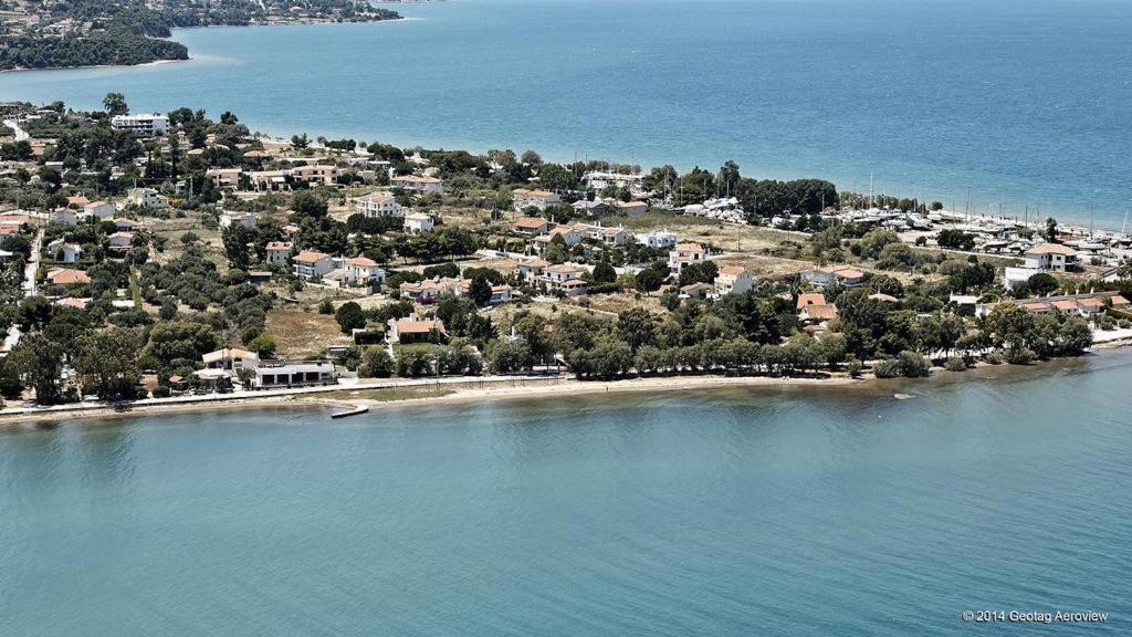 Beautiful Summer Villa In Chalkoutsi Khalkoutsion Bagian luar foto