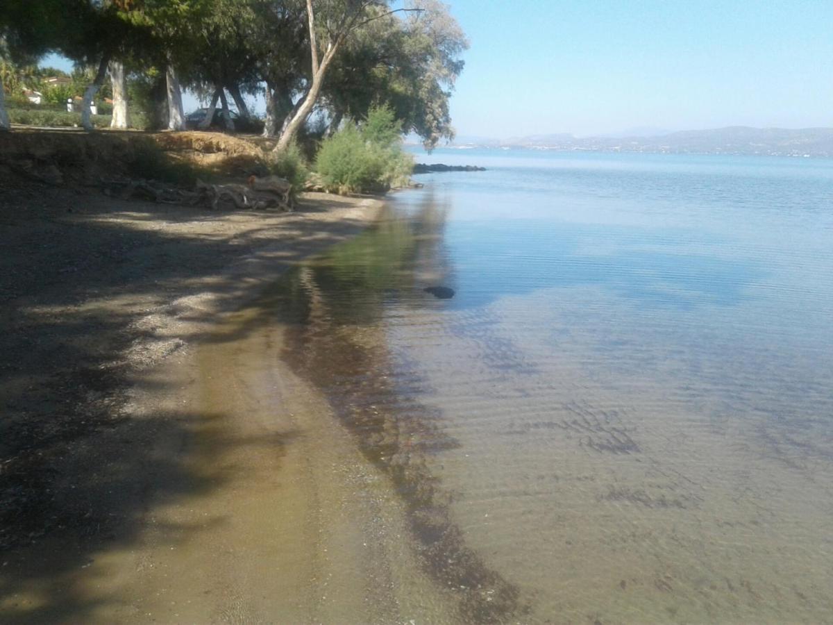 Beautiful Summer Villa In Chalkoutsi Khalkoutsion Bagian luar foto