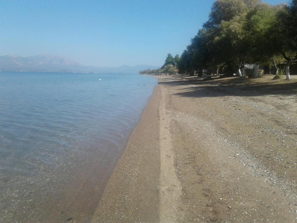 Beautiful Summer Villa In Chalkoutsi Khalkoutsion Bagian luar foto